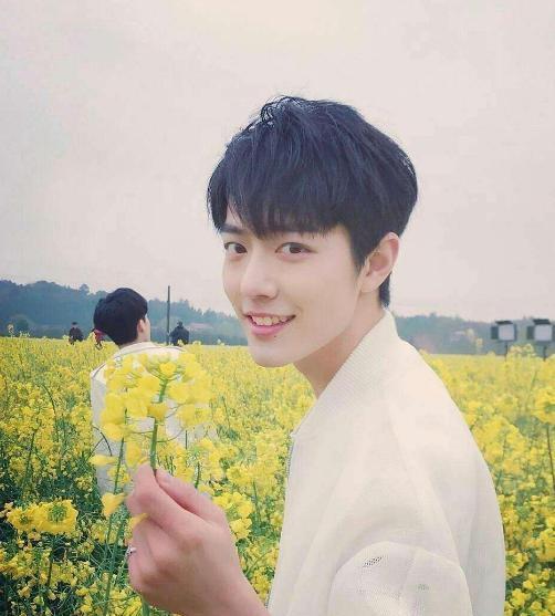 肖战感情爆料视频大全下载,揭秘明星情感世界